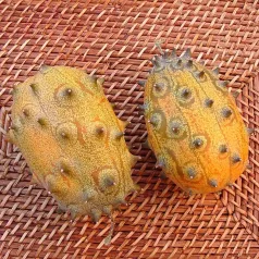 Concombre du Kenya Kiwano Concombre du Kenya Kiwano