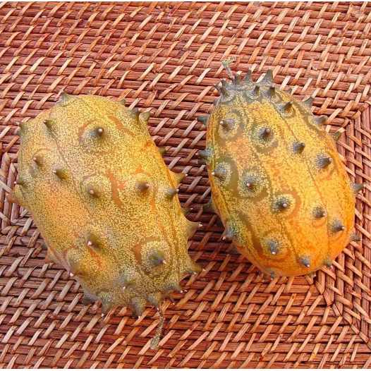 Concombre du Kenya Kiwano