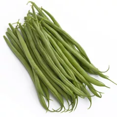Haricot nain filet Morgane Haricot nain filet Morgane