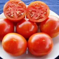 Tomate Burbank Tomate Burbank