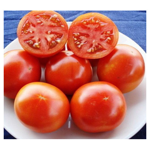 Tomate Burbank