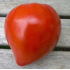 Tomate Coeur de boeuf