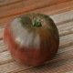 Tomate Noire Russe Charboneuse