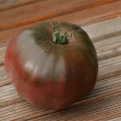 Tomate Noire Russe Charbonneuse Tomate Noire Russe Charbonneuse