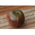 Tomate Noire Russe Charboneuse