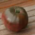 Tomate Noire Russe Charbonneuse