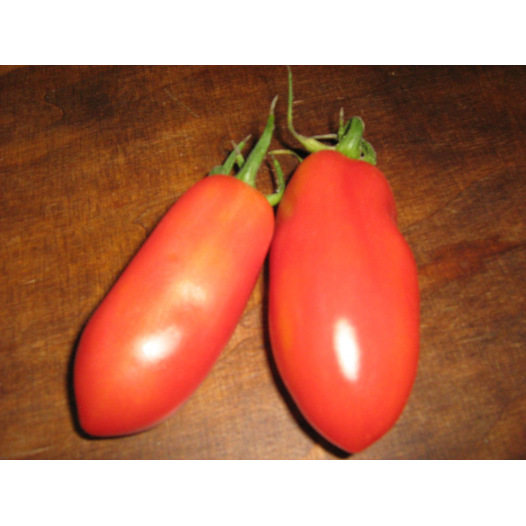 Tomate San Marzano