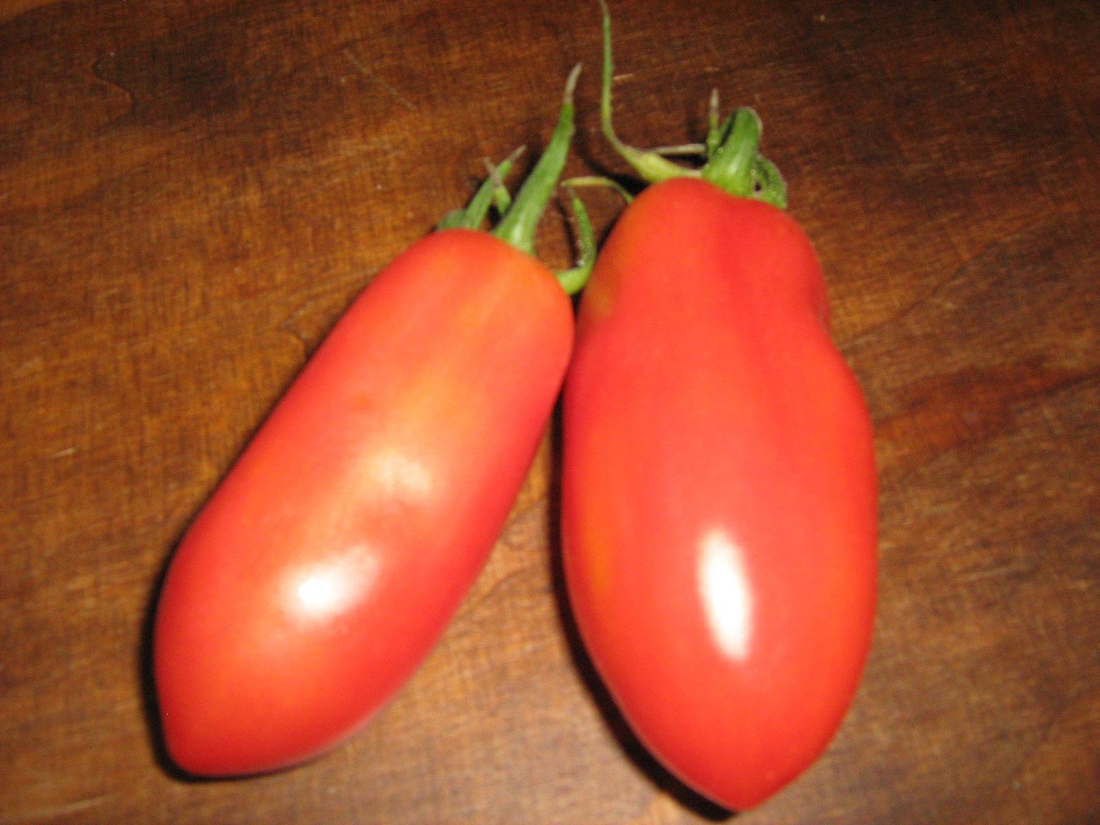 Tomaat San Marzano Biologische zaden Semailles