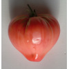 Tomate Coeur de Boeuf Rose