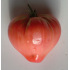 Tomate Coeur de Boeuf Rose