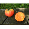 Tomate German Gold