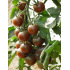 Tomate cerise Black Cherry