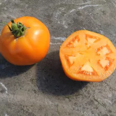 Tomate Yellow Belgian Tomate Yellow Belgian