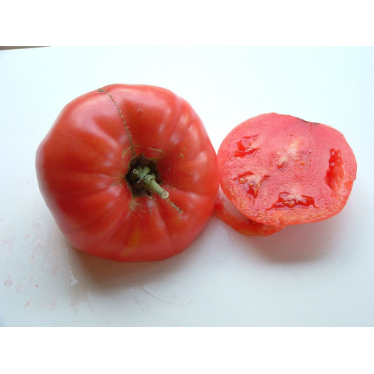 Tomate Rose de Berne