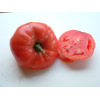 Tomate Rose de Berne