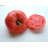 Tomate Rose de Berne
