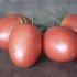 Tomate Olirose de Saint Domingue