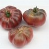Tomate Purple Calabash