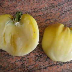 Tomate coeur de boeuf blanche Tomate coeur de boeuf blanche