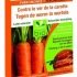 2 Capsules à phéromones contre le ver de la carotte
