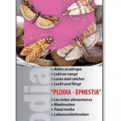 Plodia (voedselmottenvallen) Plodia (voedselmottenvallen)