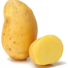 Aardappel Nicola - 1KG Aardappel Nicola - 1KG