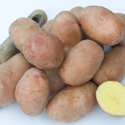Aardappel Rosabelle - 5KG