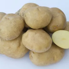 Pomme de terre Sirtema - 5kg