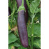 Aubergine longue violette de Barbentane