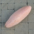 Pompoen Pink Jumbo Banana