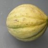 Melon Vieille France