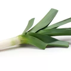 Winter-prei Gros vert de Huy