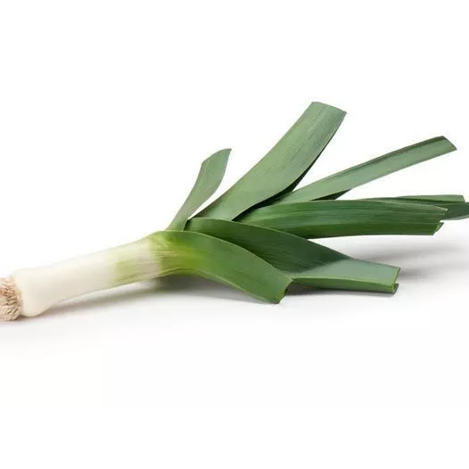 Poireau d'hiver Gros vert de Huy Poireau d'hiver Gros vert de Huy