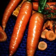 Wortel rood hart 2 uit Colmar Wortel rood hart 2 uit Colmar