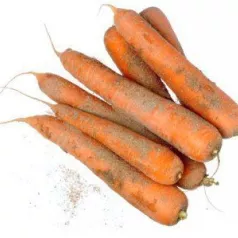 Carotte Flakkeese 2 Carotte Flakkeese 2