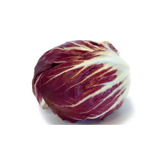 Chicorée Radicchio Chiogga Palla Rossa