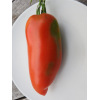 Tomate Saint Jean d'Angely