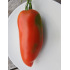 Tomate Saint Jean d'Angely