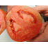 Tomate Saint Jean d'Angely