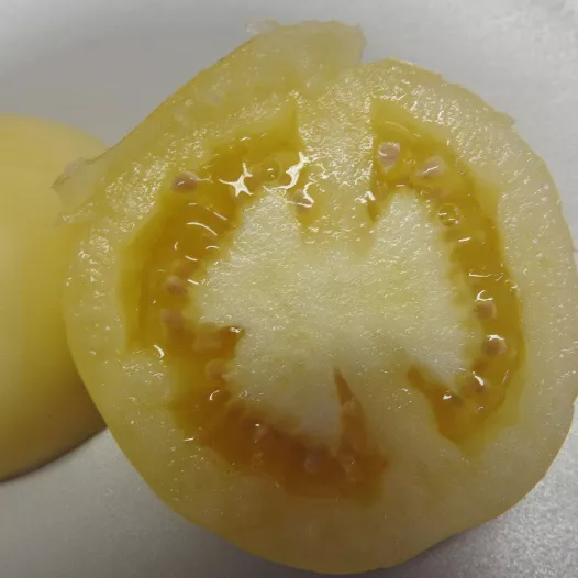 Tomate Blanche de Picardie