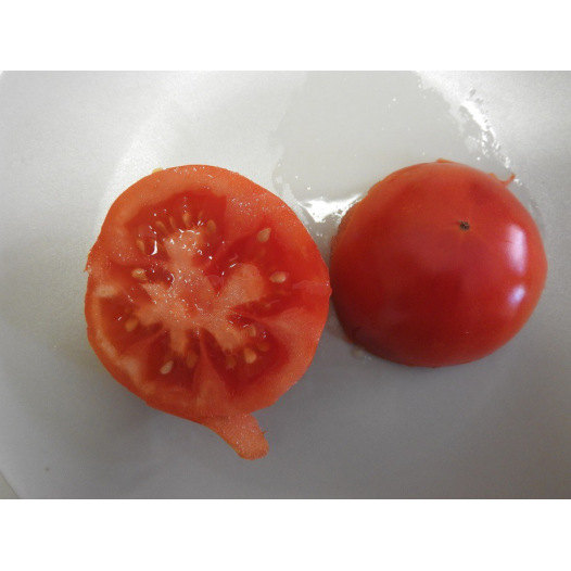 Tomate Reine des hatives