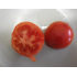 Tomate Reine des hatives