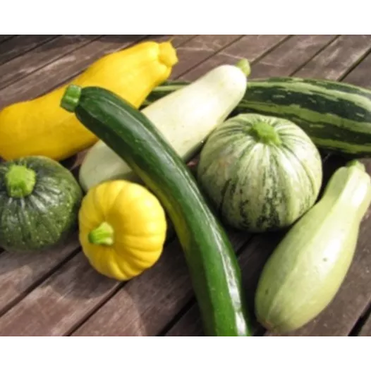 Courgettes en mélange