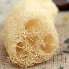 Pompoen Spons Luffa Pompoen Spons Luffa