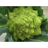 Bloemkool Romanesco