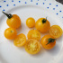 Tomate cerise Balconi jaune