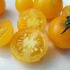 Tomate cerise Balconi jaune