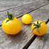 Tomate cerise Balconi jaune