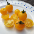 Tomate cerise Balconi jaune