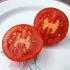 Tomate rouge Joffre bio - Semailles